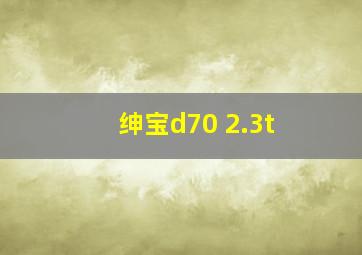 绅宝d70 2.3t